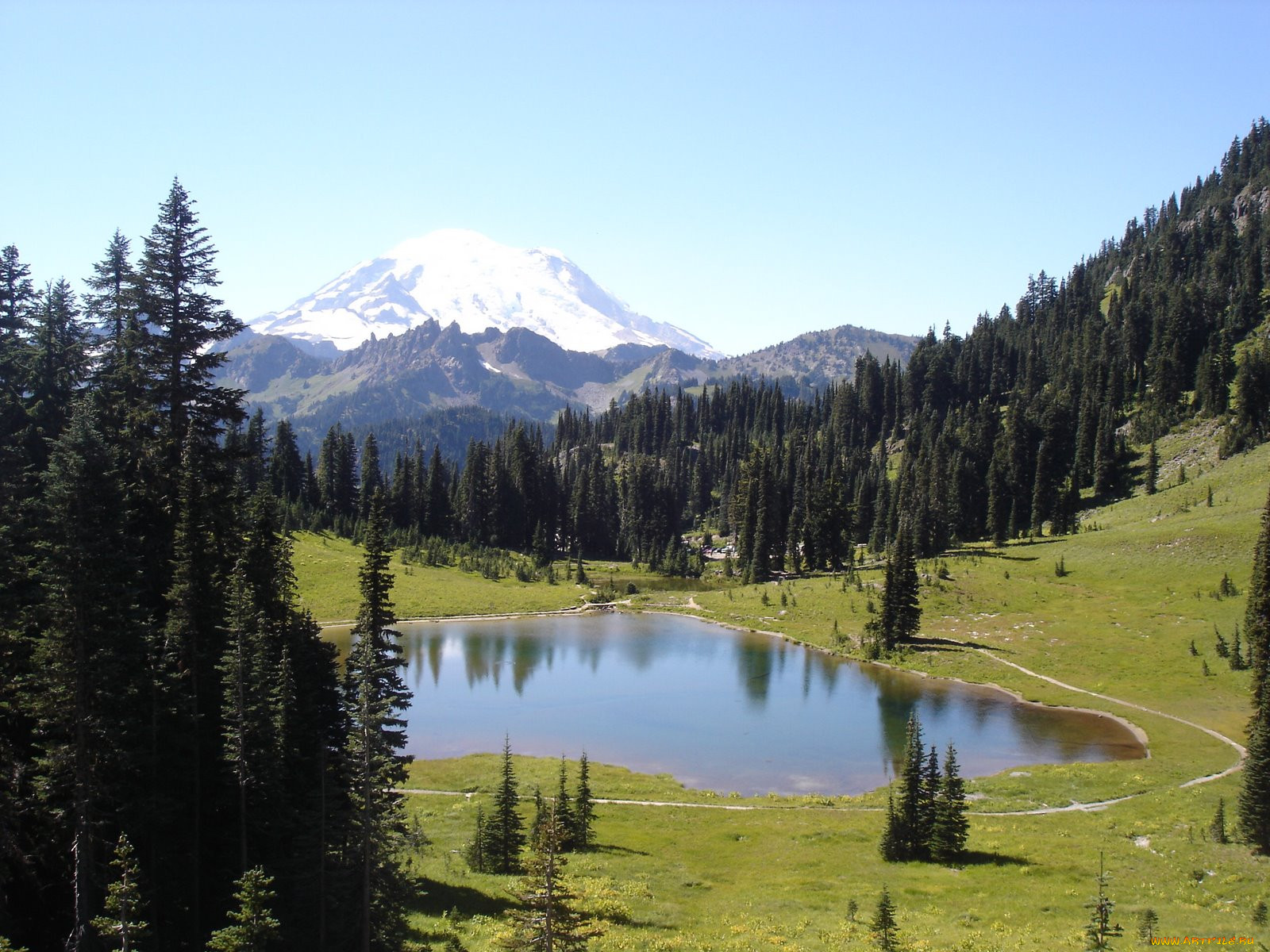 , , , yellowstone